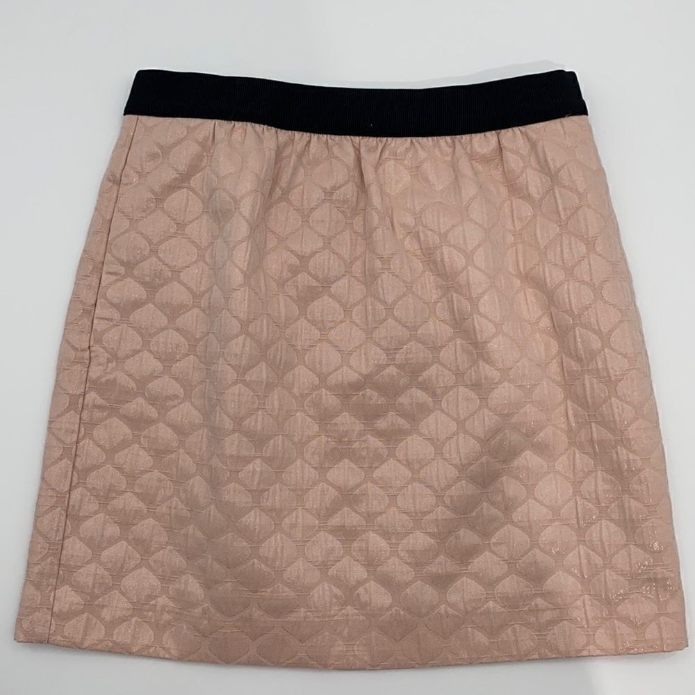 Ann Taylor Blush Pink Skirt Shimmer size 2